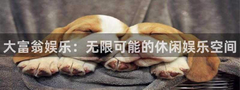 优游国际官网客服电话：大富翁娱乐：无限可能的休闲娱乐空间