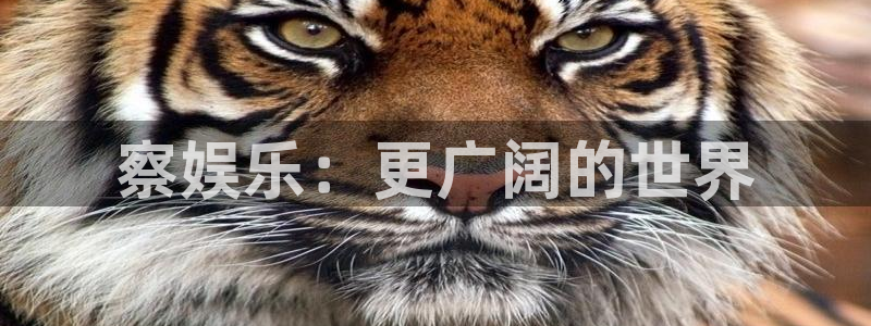 优游国际官网客服电话：察娱乐：更广阔的世界