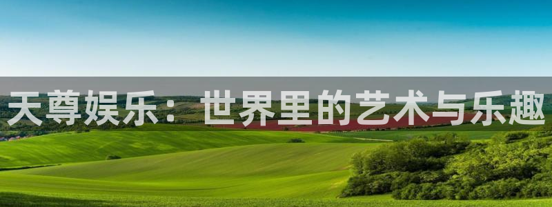 优游国际官网客服电话：天尊娱乐：世界里的艺术与乐趣
