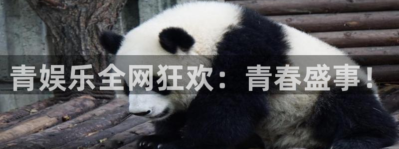 优游国际官网首页：青娱乐全网狂欢：青春盛事！