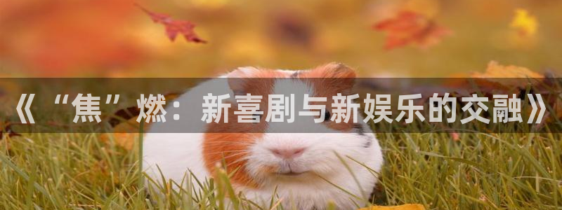 优游国际官网：《“焦”燃：新喜剧与新娱乐的交融》