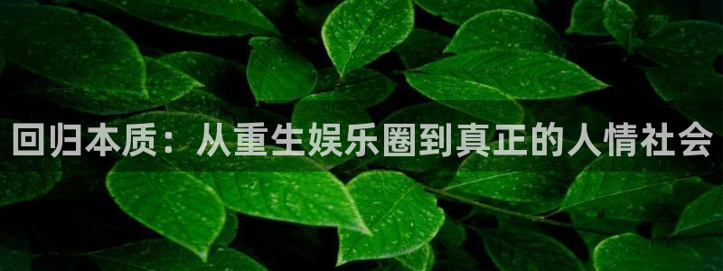 优游国际官网：回归本质：从重生娱乐圈到真正的人情社会