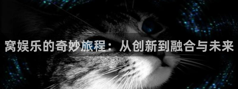 优游国际官网下载：窝娱乐的奇妙旅程：从创新到融合与未来