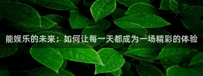 优游国际官网首页：能娱乐的未来：如何让每一天都成为一场精彩的体验