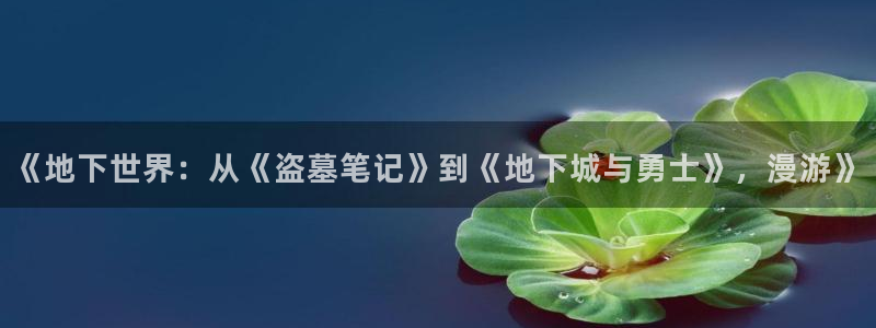 优游国际官网下载：《地下世界：从《盗墓笔记》到《地下城与勇士》，漫游》
