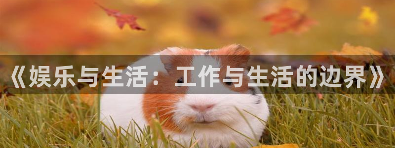 优游国际官网客服电话：《娱乐与生活：工作与生活的边界》