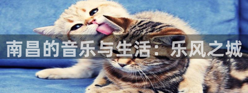 优游国际官网下载：南昌的音乐与生活：乐风之城