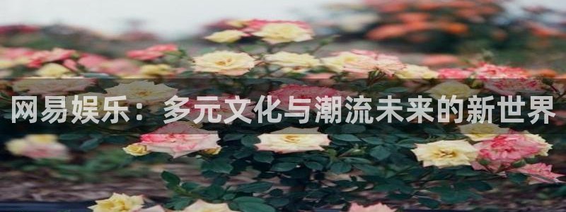 优游国际官网下载：网易娱乐：多元文化与潮流未来的新世界