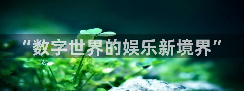 优游国际官网下载：“数字世界的娱乐新境界”