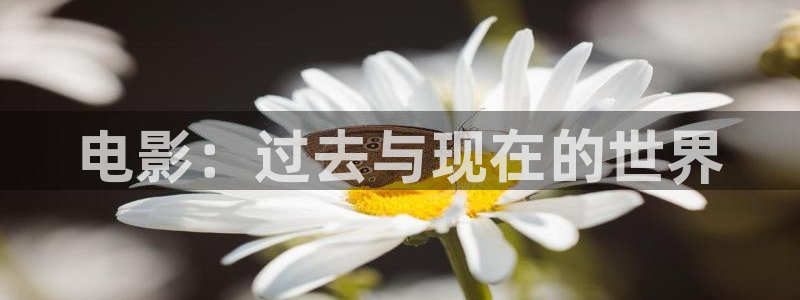 优游国际官网首页：电影：过去与现在的世界